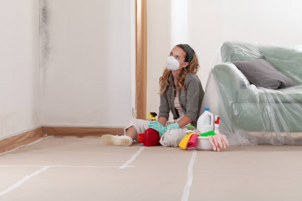 Reliable Mold Remediation contractor in Shepherdsville, KY by WQB Mold Removal